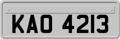 KAO4213