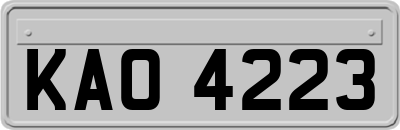 KAO4223