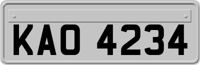 KAO4234