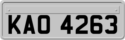 KAO4263