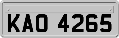 KAO4265