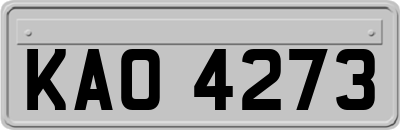 KAO4273