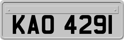 KAO4291