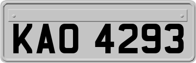 KAO4293