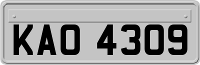 KAO4309