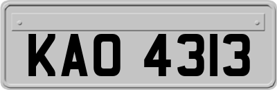 KAO4313