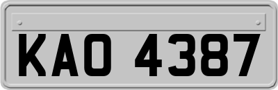 KAO4387