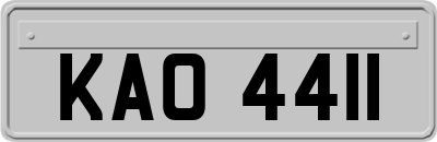 KAO4411
