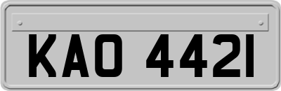 KAO4421