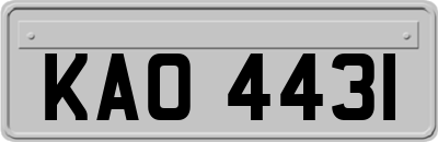 KAO4431