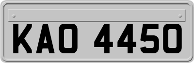 KAO4450