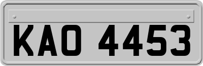 KAO4453
