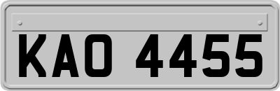 KAO4455