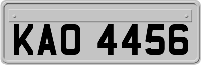 KAO4456