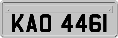 KAO4461