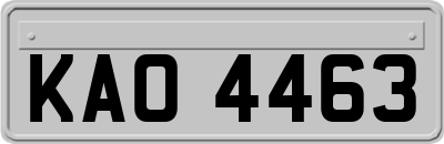 KAO4463