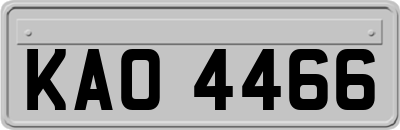 KAO4466