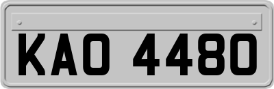 KAO4480