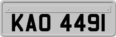 KAO4491
