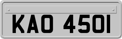 KAO4501