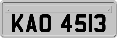 KAO4513