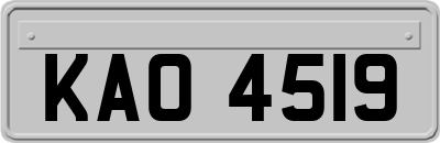 KAO4519