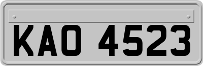 KAO4523