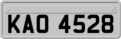 KAO4528