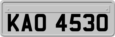 KAO4530