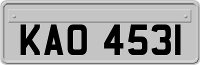 KAO4531