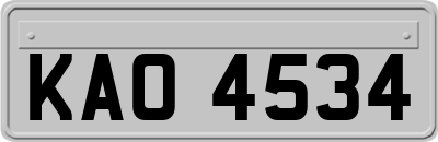 KAO4534