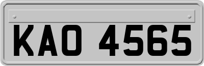 KAO4565