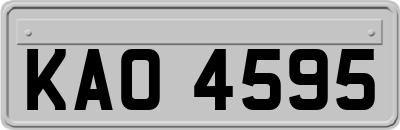 KAO4595