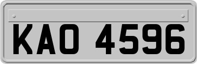 KAO4596