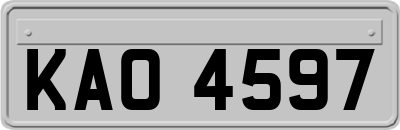 KAO4597