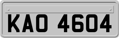 KAO4604