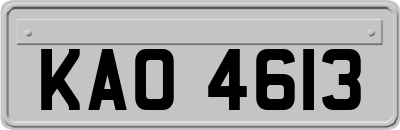KAO4613