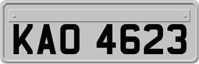 KAO4623