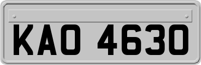 KAO4630