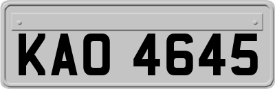 KAO4645