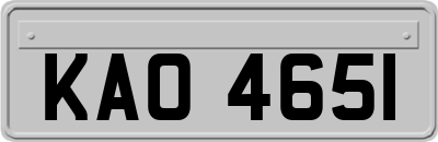 KAO4651