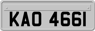 KAO4661