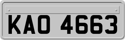 KAO4663