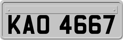 KAO4667