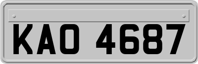 KAO4687