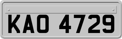 KAO4729