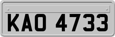KAO4733