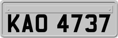 KAO4737