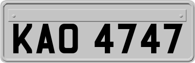 KAO4747