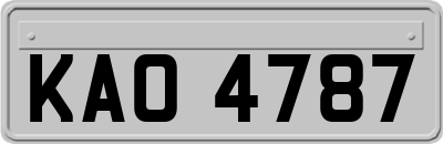 KAO4787